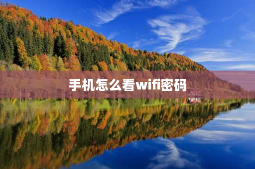 手机怎么看wifi密码 手机wifi密码查询器怎么查密码？