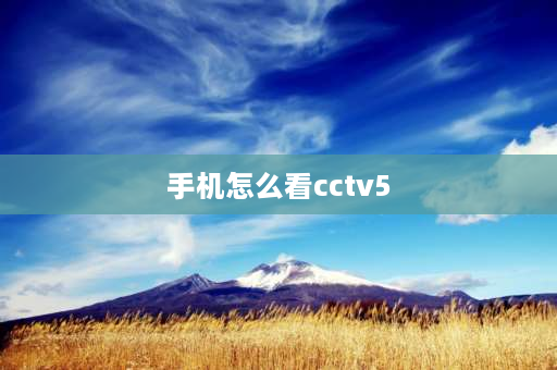 手机怎么看cctv5 在哪里能搜到中央五台？