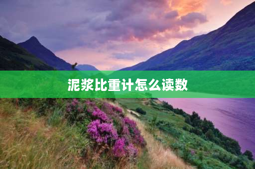 泥浆比重计怎么读数 钻孔灌注桩泥浆的三大指标(泥浆比重、含砂率、粘度)怎样来测，具体的操作步骤？