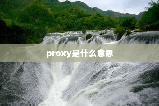 proxy是什么意思 proxy录制有什么用？