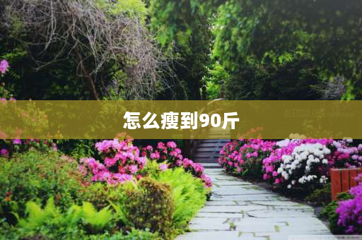 怎么瘦到90斤 96斤如何减到90斤？