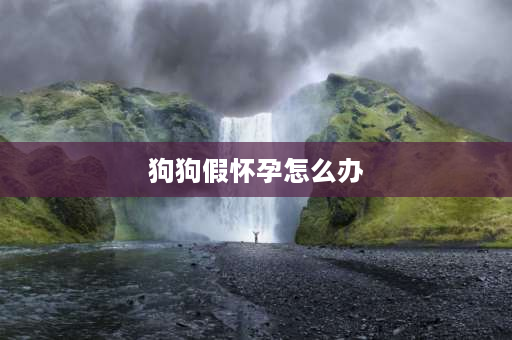 狗狗假怀孕怎么办 小狗怀孕了，不想让她生下来，怎么办？