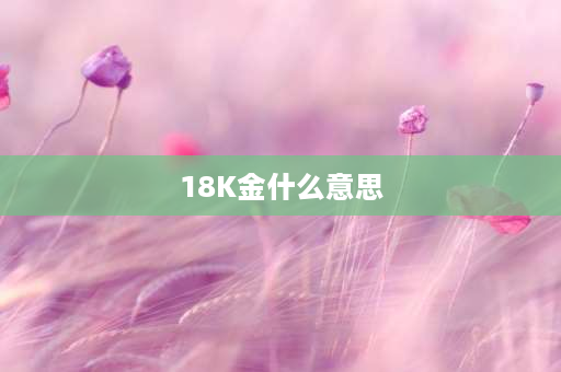 18K金什么意思 18k银指的是什么？