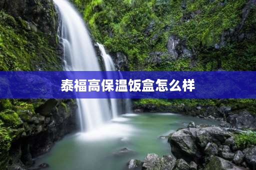 泰福高保温饭盒怎么样 一滴水和泰福高保温饭盒哪个好？