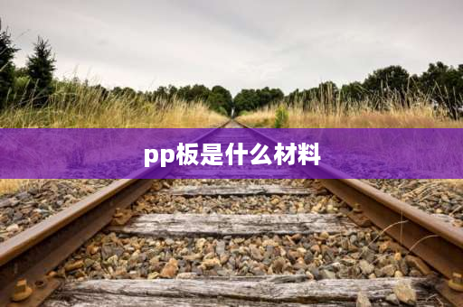 pp板是什么材料 什么是PP板？