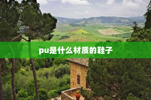 pu是什么材质的鞋子 鞋底pu材质是什么？