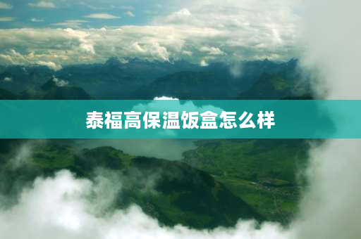 泰福高保温饭盒怎么样 泰福高保温饭盒为什么不保温了？