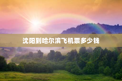 沈阳到哈尔滨飞机票多少钱 沈阳到哈尔滨有多远？