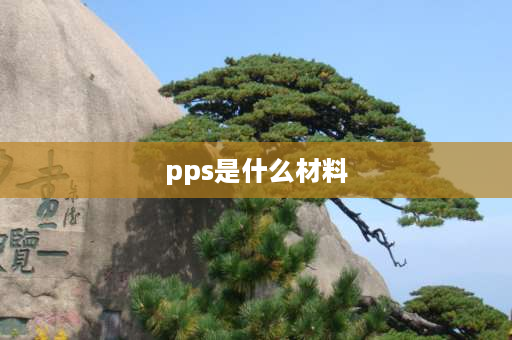 pps是什么材料 pps材质的筷子好吗？