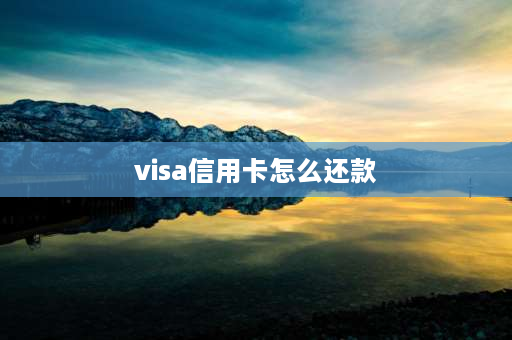 visa信用卡怎么还款 visa卡是怎么用怎么还款的？