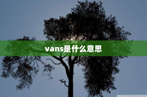 vans是什么意思 vans没有脚后跟啥意思？