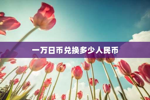 一万日币兑换多少人民币 一万日元能做什么？