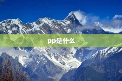 pp是什么 pp是什么塑料？