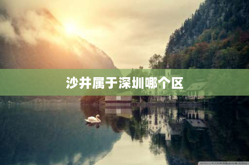 沙井属于深圳哪个区 深圳沙井属于哪个区？