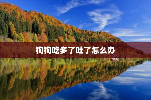 狗狗吃多了吐了怎么办 我家狗狗乘我不在的时候吃了4个月饼，肚子撑得好大，又吐了，怎么办呐？