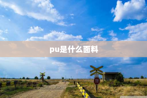 pu是什么面料 pu是皮的还是革的？