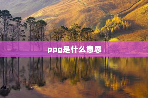 ppg是什么意思 epg和ppg是什么？