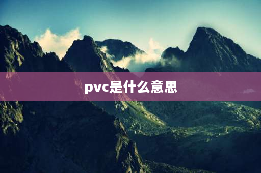 pvc是什么意思 pvc是什么意思网络用语？