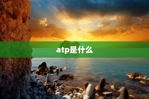 atp是什么 atp是什么意思？