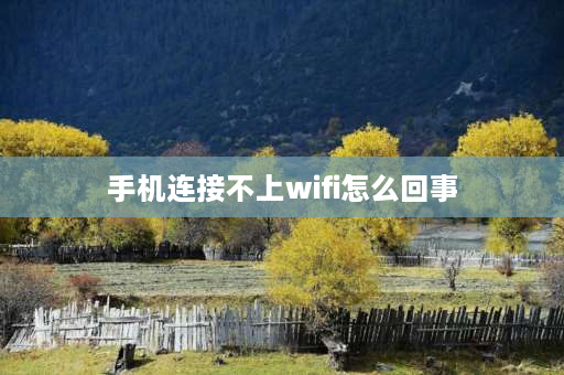 手机连接不上wifi怎么回事 为什么手机连接不了自家的wifi？