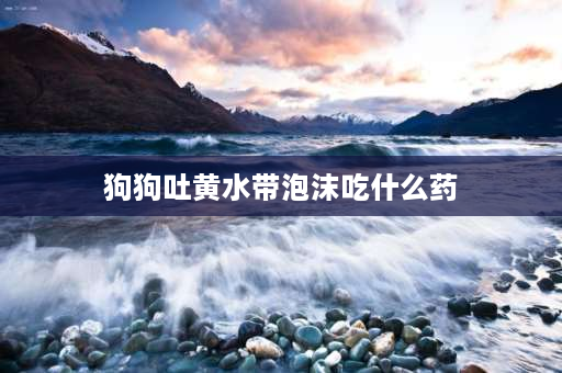 狗狗吐黄水带泡沫吃什么药 泰迪早晨呕心吐黄沬？