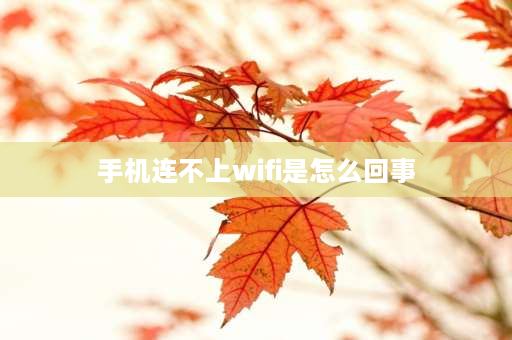 手机连不上wifi是怎么回事 为什么手机连不上无线网？