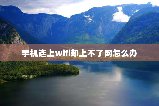 手机连上wifi却上不了网怎么办 OPPO手机能连上wifi但不能上网怎么办？