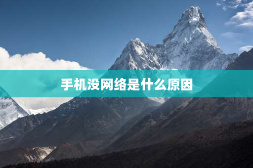 手机没网络是什么原因 为什么信号是满的也有话费,怎么没有网络呢？