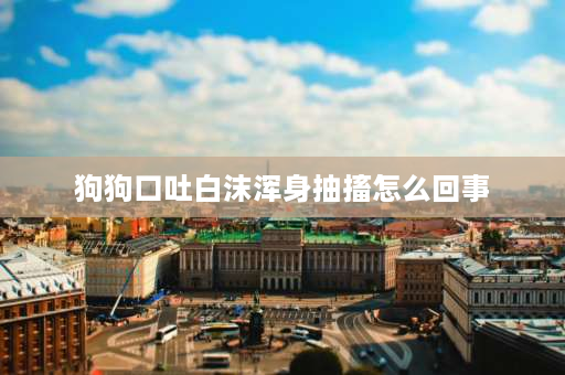 狗狗口吐白沫浑身抽搐怎么回事 2个月不到的阿拉斯加狗狗突然全身抽搐，口吐白沫，四肢无力，到处乱爬？