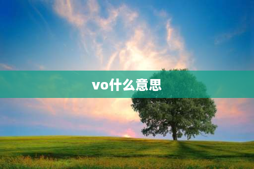 vo什么意思 VO是什么意思？