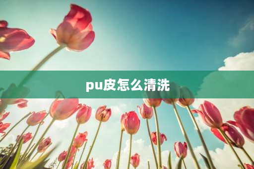 pu皮怎么清洗 pu皮脏了洗不掉怎么处理？