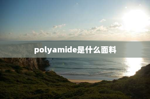 polyamide是什么面料 pp pe pa是什么材料？