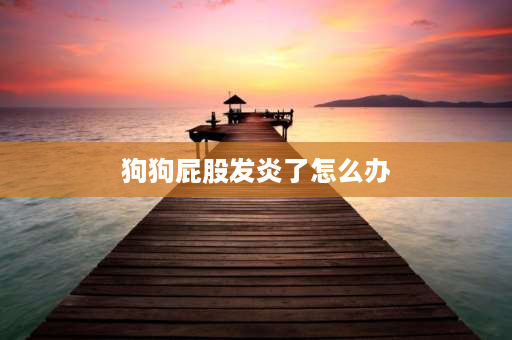 狗狗**发炎了怎么办 狗狗伤口发炎怎么办？