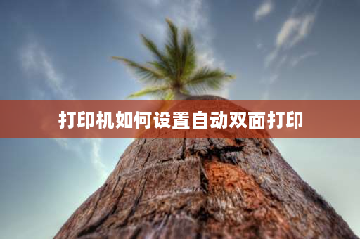 打印机如何设置自动双面打印 wps自动双面打印怎么设置？