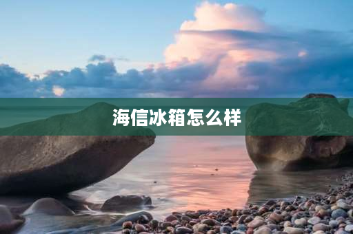 海信冰箱怎么样 海信冰箱541的优缺点？