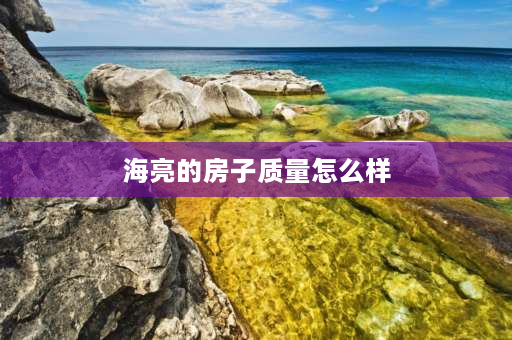 海亮的房子质量怎么样 海亮教育集团实力怎么样？