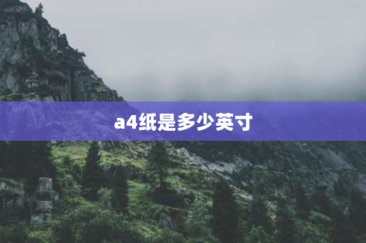 a4纸是多少英寸 a4纸张是多少寸？