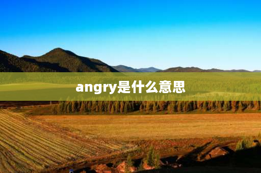 angry是什么意思 mad和angry的区别？