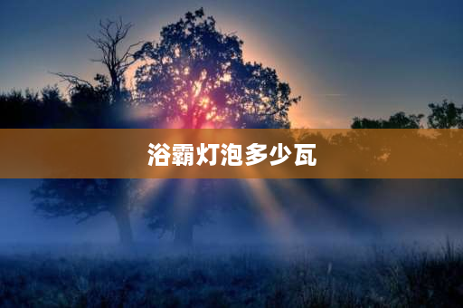 浴霸灯泡多少瓦 浴霸灯泡是多少瓦？