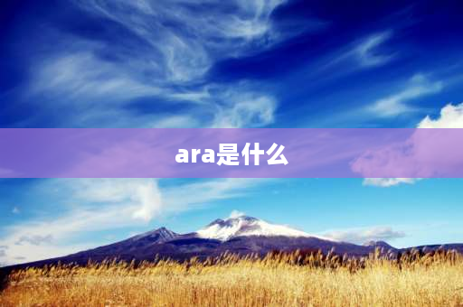 ara是什么 加拿大ara是什么牌子？