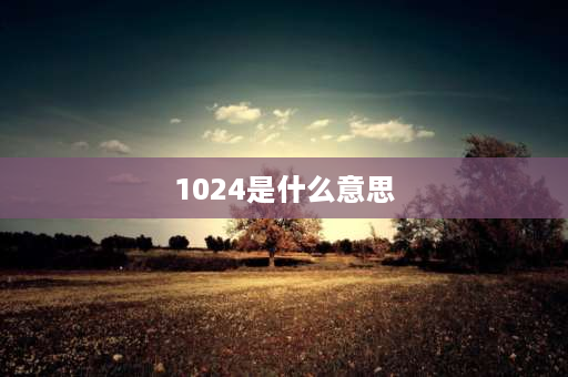 1024是什么意思 某女对某男说1024是什么意思？