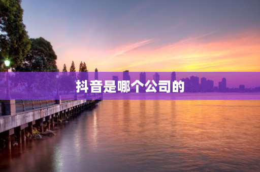 抖音是哪个公司的 2021抖音最挣钱的十大网红？