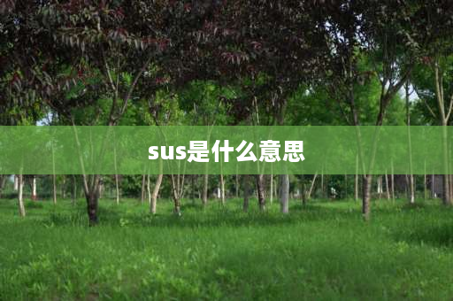 sus是什么意思 sus词缀意义？