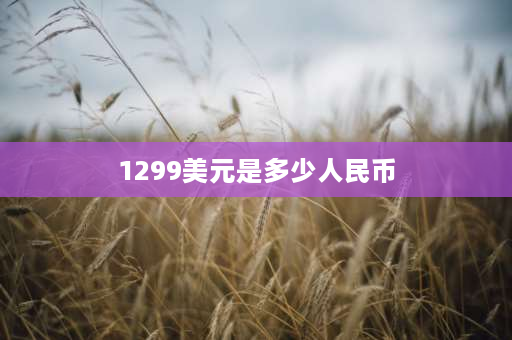 1299美元是多少人民币 14pro换13pm差价多少？