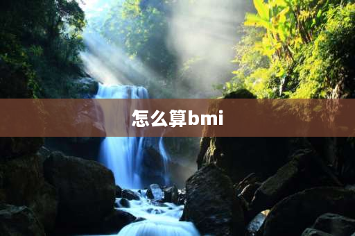 怎么算bmi BMI的测算公式？