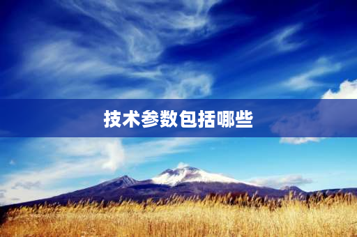 技术参数包括哪些 招标文件中的技术响应表和技术规格偏离表一样吗,技术响应表该怎么填写？