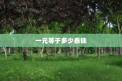 一元等于多少泰铢 8000株相当于多少人民币？