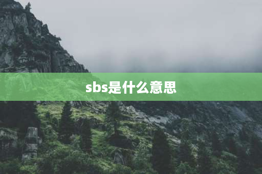 **s是什么意思 SBS防水卷材，SBS是什么意思，施工工艺是不是只有热熔？