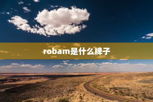 robam是什么牌子 燃气灶robaln是什么牌子？