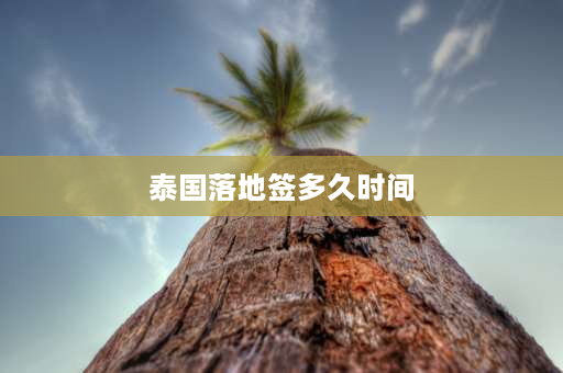 泰国落地签多久时间 2023泰国落地签可以马上拿到吗？